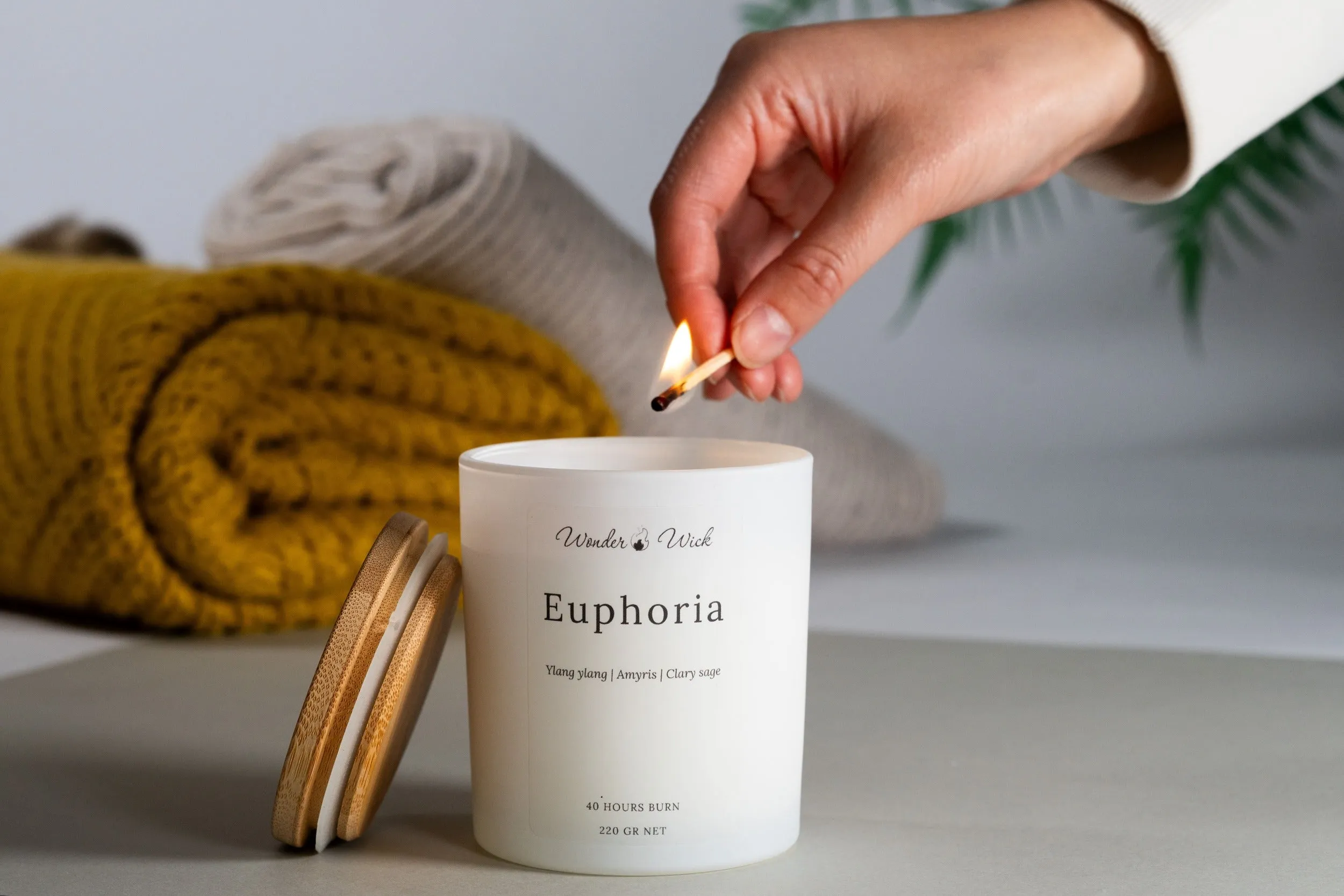 Euphoria candle by Wonder Wick